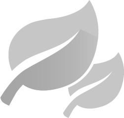 Zwei Blätter – symbolisieren Kraftstoffeinsparung und Umweltfreundlichkeit.