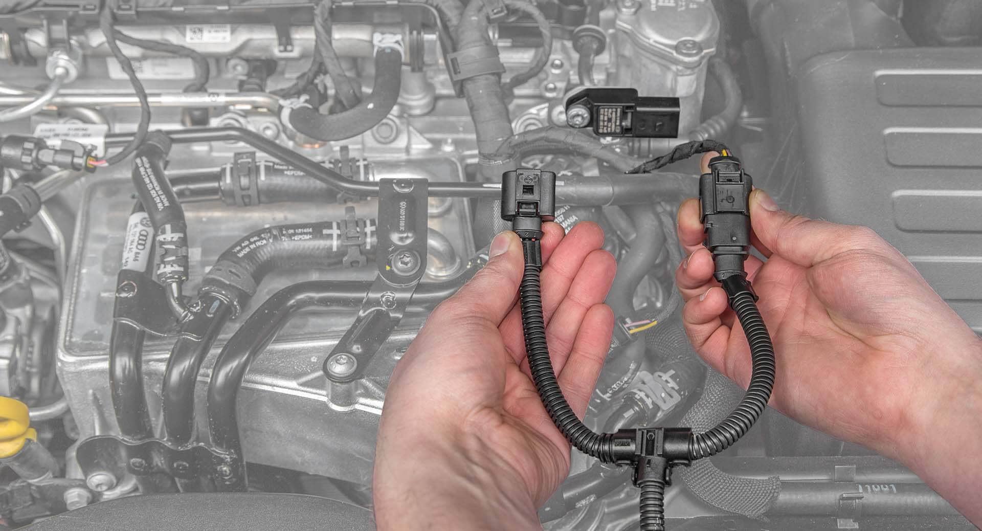 Verbinden des Kabelbaums Verbinden des Kabelbaums